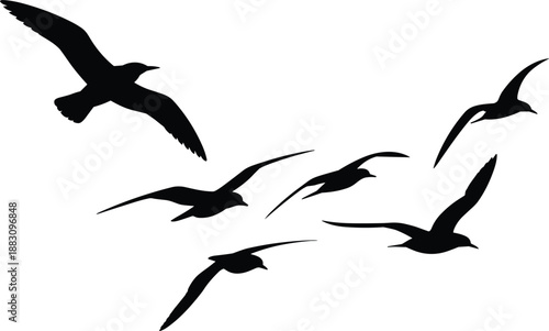 Swallow bird silhouettes in flight, dynamic motion, nature freedom, wildlife illustration, black design, minimal art, sky movement, flock