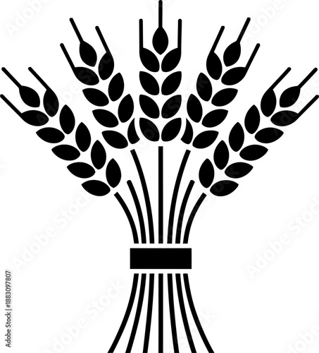 Wheat sheaf tied with rope. Agricultural harvest and farm food grain plant symbol. Outline vector icon for logo, pictogram, design