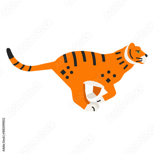 Tiger flat running