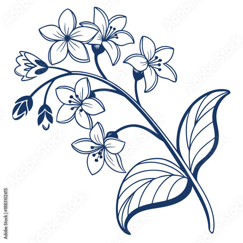 Brunnera Flowers with Buds and Curved Stems Line Drawing Illustration