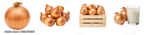Various yellow onions in different arrangements on transparent background