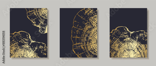 Tree ring patterns on wooden texture backgrounds. Natural wood grain templates with circular trunk cross-sections, featuring tree trunk cross-sections with annual rings for design projects, invitation