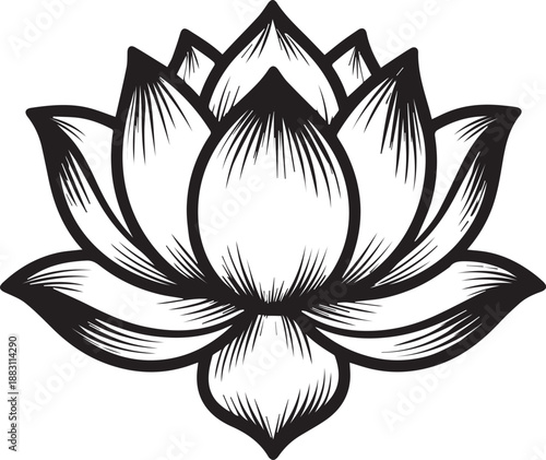 A graceful lotus blossom illustration, rendered in striking black and white, unveils its intricate, symmetrical beauty. This image captures the essence of tranquility and the elegance of nature.