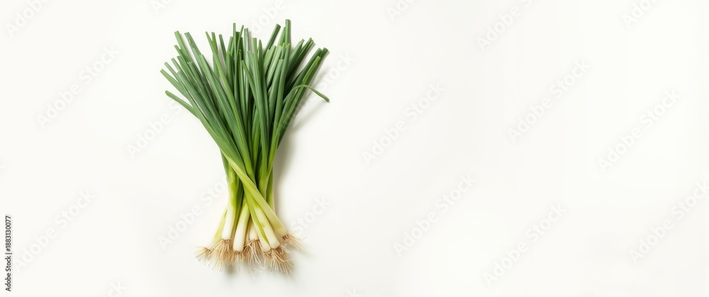 Obraz premium Background with green onion isolated