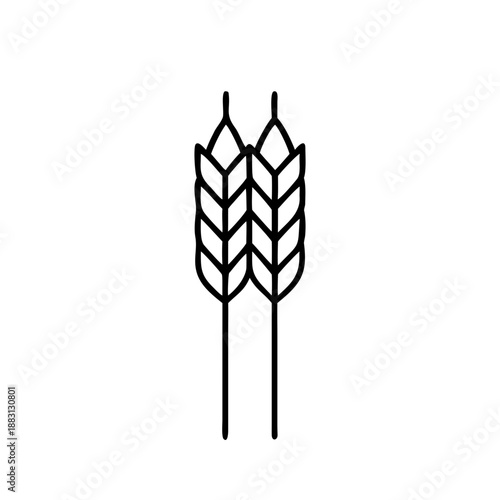 Wheat Grain Outline Icon Flat Vector Illustration