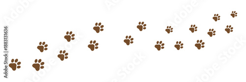 Paw print of dog isolated on transparent background. cat paw print. cat walk foot print. Paw print of dog PNG