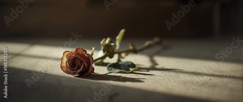 Love Lost and Faded Rose: An Enduring Forever