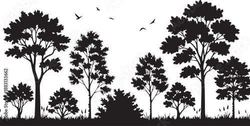 Forest landscape with various trees birds flying silhouette vector illustration nature scene