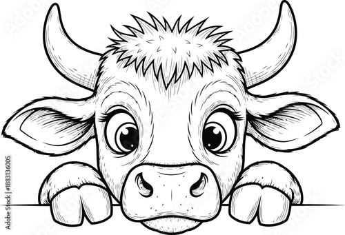 Adorable cartoon baby cow with big eyes and shaggy hair peeking over a surface a black and white line art illustration.