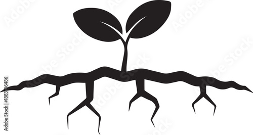 Seedling with roots illustration vector silhouette growth concept
