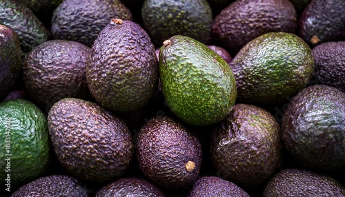 Close Up Pile Of Fresh Avocados Showing Their Rough Textured Skin In Shades Of Green And Dark Purple Highlighting The Natural Color Variation And Surface Detail Of The Fruit
