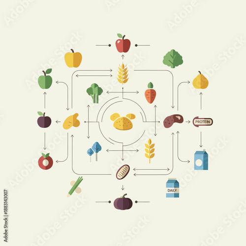Nutrition Diagram Depicting Diverse Food Sources Showcasing a Balanced Diet for Optimal Health