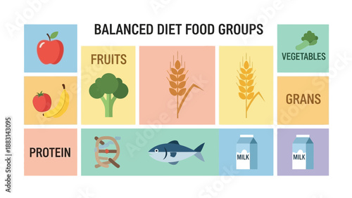 Nutrition Fundamentals: A Comprehensive Visual Guide to Balanced Dietary Elements