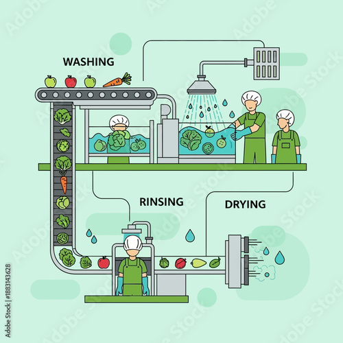 Modern Fresh Produce Processing: A Detailed Illustrative Overview of the Food Industry