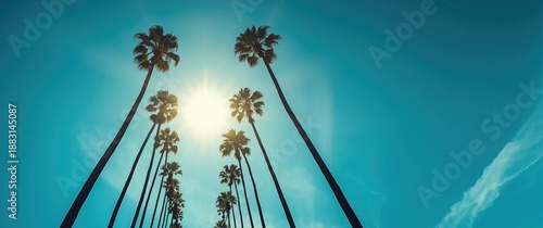 Well-known palms of Beverly Hills in Los Angeles with a blue sky backdrop from below