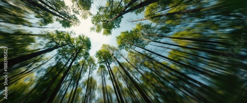 Blurred abstract forest backdrop captured from below, featuring pattern, texture, and sky for a spring and summer nature theme