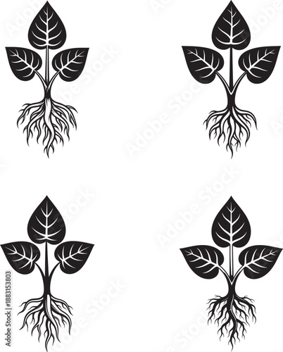 Four black and white illustrations of plant seedlings with roots and leaves