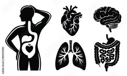 Human internal body organs set for medical and health awareness icons