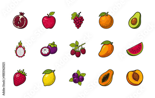 Vintage Etching Style Fruit Illustration Element Kit for Organic Food Labels and Healthy Nutrition Branding