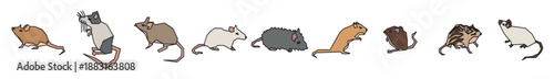 Mouse couple set.  A rat character set features vector illustrations of rats in various styles and poses, including cute, cartoon, silhouette, realistic, and animated versions. Vector illustration.