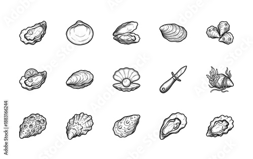 Vintage Woodcut Style Oyster and Shellfish Engraving Element Set for Gourmet Seafood Dining and Marine Biology