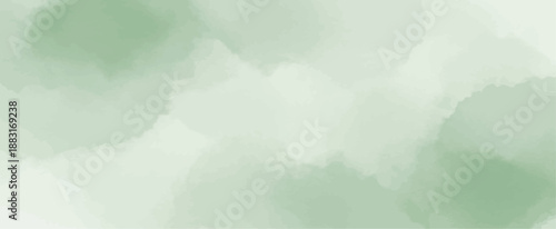 Soft Sage Green Watercolor Background Vector Texture Abstract Wash Art