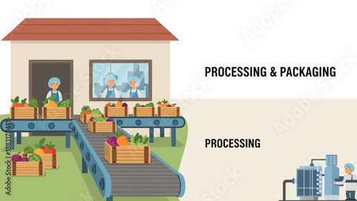 Vegetable Production And Packaging Process In A Clean Food Processing Factory