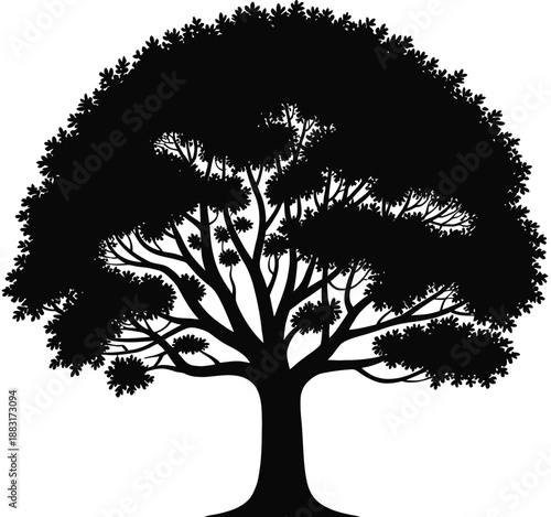 Elm tree black silhouette vector icon with detailed branches for nature themes logos landscaping and graphic design