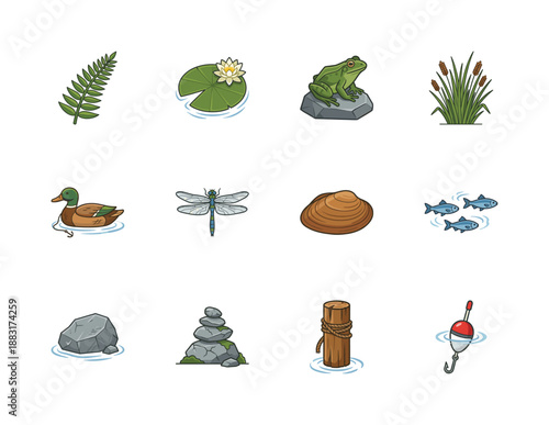 Clean Vector Pond Life Graphic Element Sheet for Wetland Ecology and Outdoor Fishing Education