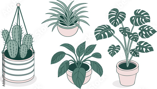 Cartoon Color House Plants Set 3d Isometric View Include of Cactus, Philodendron and Succulent. A clean vector illustration set of indoor house plants in 3D isometric view,  Vector illustration

