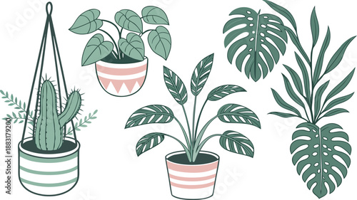 Cartoon Color House Plants Set 3d Isometric View Include of Cactus, Philodendron and Succulent. A clean vector illustration set of indoor house plants in 3D isometric view,  Vector illustration
