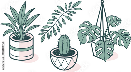 Cartoon Color House Plants Set 3d Isometric View Include of Cactus, Philodendron and Succulent. A clean vector illustration set of indoor house plants in 3D isometric view,  Vector illustration
