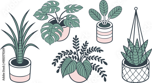 Cartoon Color House Plants Set 3d Isometric View Include of Cactus, Philodendron and Succulent. A clean vector illustration set of indoor house plants in 3D isometric view,  Vector illustration
