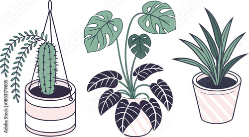 Cartoon Color House Plants Set 3d Isometric View Include of Cactus, Philodendron and Succulent. A clean vector illustration set of indoor house plants in 3D isometric view,  Vector illustration
