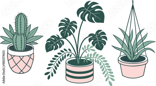 Cartoon Color House Plants Set 3d Isometric View Include of Cactus, Philodendron and Succulent. A clean vector illustration set of indoor house plants in 3D isometric view,  Vector illustration
