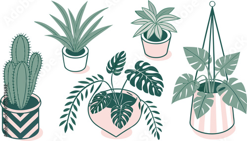 Cartoon Color House Plants Set 3d Isometric View Include of Cactus, Philodendron and Succulent. A clean vector illustration set of indoor house plants in 3D isometric view,  Vector illustration
