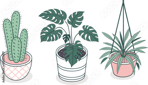 Cartoon Color House Plants Set 3d Isometric View Include of Cactus, Philodendron and Succulent. A clean vector illustration set of indoor house plants in 3D isometric view,  Vector illustration
