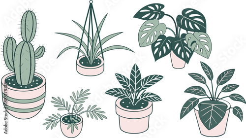 Cartoon Color House Plants Set 3d Isometric View Include of Cactus, Philodendron and Succulent. A clean vector illustration set of indoor house plants in 3D isometric view,  Vector illustration
