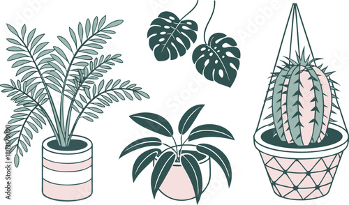 Cartoon Color House Plants Set 3d Isometric View Include of Cactus, Philodendron and Succulent. A clean vector illustration set of indoor house plants in 3D isometric view,  Vector illustration
