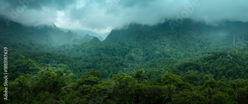 A thriving, lush forest with mist-covered peaks exemplifies the core message of forest preservation during World Environment Day