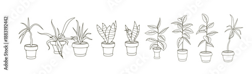 Indoor House Plants in Pots – Cartoon Office Flowers and Tropical Leaf Illustration. House plants in pots office flowers cartoon tropic leaves. Vector illustration.