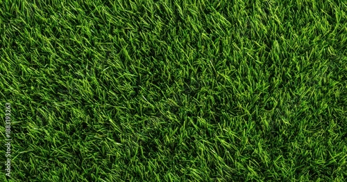 Wallpaper Mural The grass lawn texture closeup showing lush vibrant green blades and even natural surface Torontodigital.ca