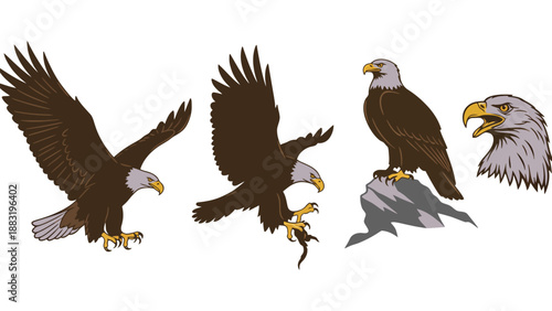 A collection of bald eagles in various poses on a white background