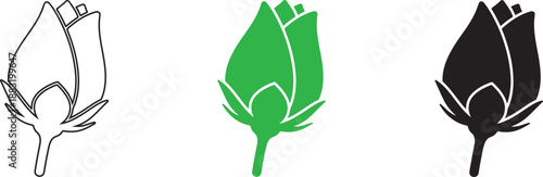 Set of Three Protea Flower Silhouettes in Black White and Green