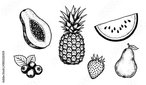 Tropical Fruit Collection Vintage Hand Drawn Charcoal Ink Vector Illustration