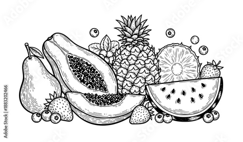 Hand Drawn Tropical Fruits Vector Sketch Vintage Charcoal Ink Illustration