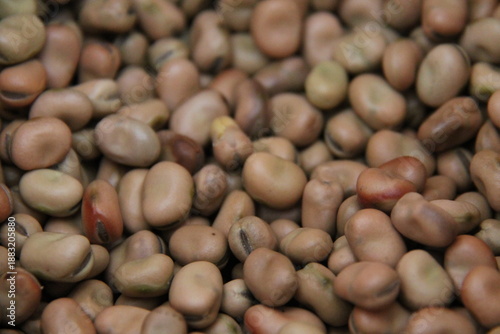 A Background Image of a Winter Bean Cereal Crop.