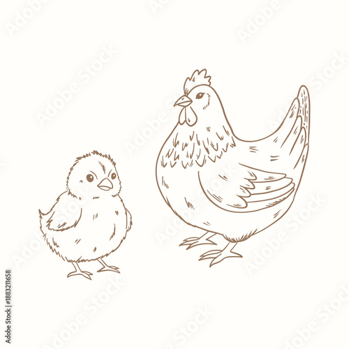 Chicken and chick. Vector illustration. Hand drawn hen and chick.