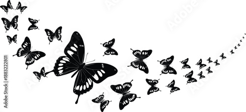 Black and white butterfly silhouette diagonal dispersing pattern, minimalist flying insects vector, modern nature graphic design, artistic swarming butterflies illustration,