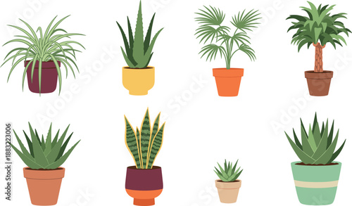 Vector illustration mega-set featuring diverse indoor houseplants potted succulents snake plants and palms for home office interior decor